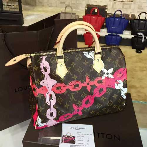 Louis Vuitton Outlet Monogram Canvas Speedy 30 M41989