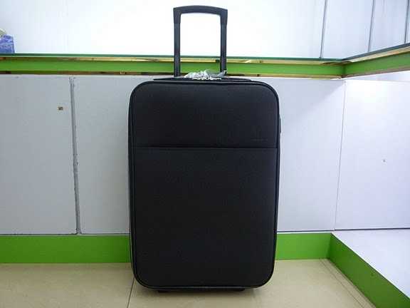 Louis Vuitton Outlet Pegase 60 M23262 Luggages