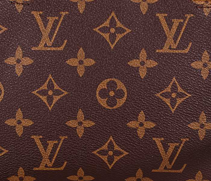 2014 LV M41243 mini brown with khaki