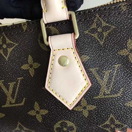 Louis Vuitton Outlet Monogram Canvas NANO SPEEDY 25 41113