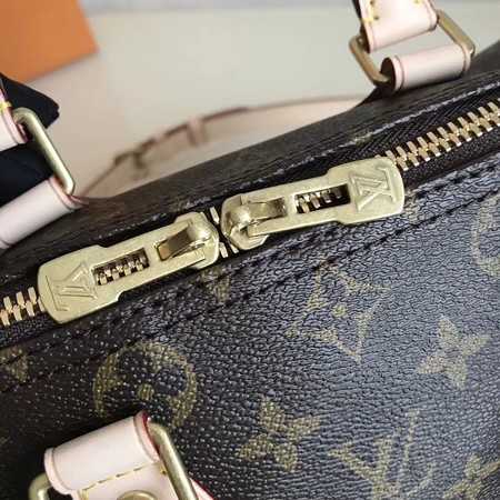 Louis Vuitton Outlet Monogram Canvas NANO SPEEDY 25 41113